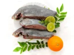 Black Pomfret (Halwa) - Image 3