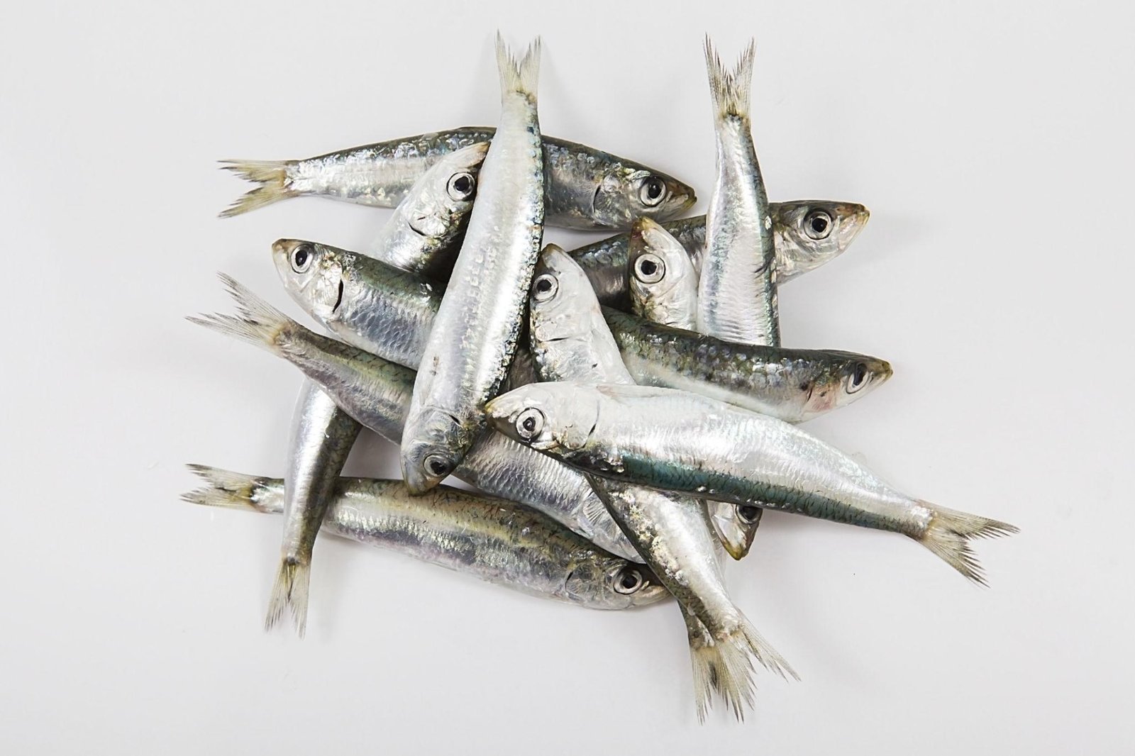 SARDINE2 Bombay Duck (Bombil) - Image 1