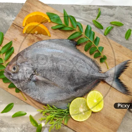 Black Pomfret (Halwa)