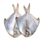 Pomfret (Paplet) - Image 4