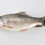 Rohu